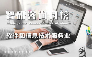智研排行榜 洞察地區經濟、行業與產品趨勢的信息技術咨詢服務